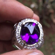 lelang singkat kembali 8 item premium