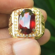 lelang singkat item elegance