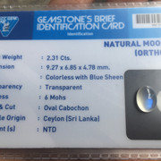 Lelang singkat 10 premium item