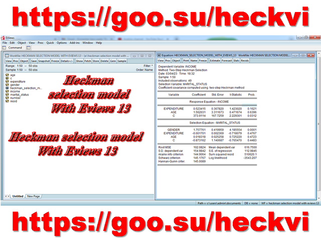 heckman-selection-model-with-eviews-13