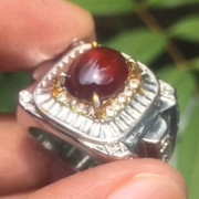 lelang singkat 6 item premium
