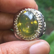 lelang singkat akhir tahun 5 item