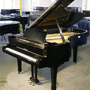 Sewa Piano, Baby Grand Piano, Yamaha, Jakarta
