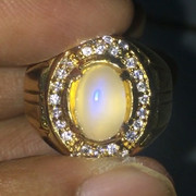 lelang singkat 5 item premium