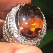 lelang singkat item elegance