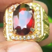 lelang singkat item elegance