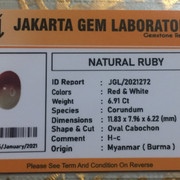 lelang singkat cuma 2 item premium