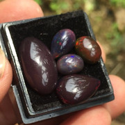 lelang singkat lima item doangan