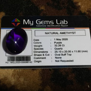 lelang singkat kembali 8 item premium