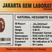 lelang singkat item elegance