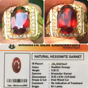 lelang singkat item elegance