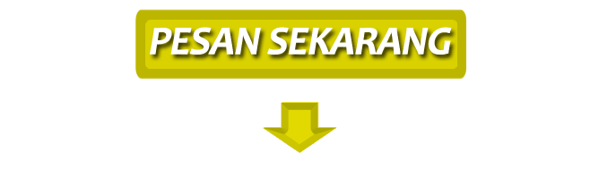 Vibrator premium wanita irena wireless android di bengkulu