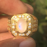 lelang singlat 6 item premium
