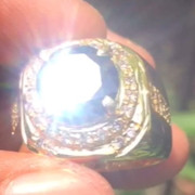 lelang singkat item elegance