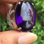 lelang spesial ob 50k