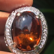 lelang singkat item elegance