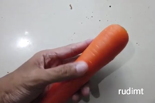 Tips dan Solusi Agar Bulu Hamster Gak Rontok Lagi
