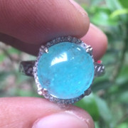 Lelang singkat 10 premium item