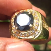 lelang singkat item elegance