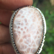 Lelang singkat 10 premium item