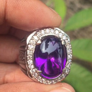 lelang singlat 6 item premium
