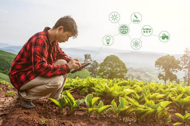 Smart Farm, Ide Teknologi Pertanian yang Berawal dari Game Untuk Banyuwangi