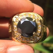 lelang singkat item elegance