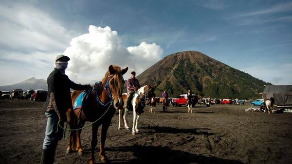&#91;Coc Reg. Bromo&#93; Setelah Lama Tak Dikunjungi, Gunung Bromo Makin Asri dan Hijau 