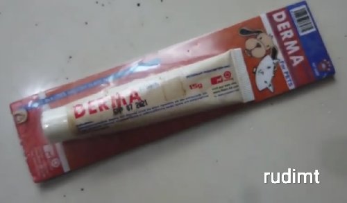 Tips dan Solusi Agar Bulu Hamster Gak Rontok Lagi