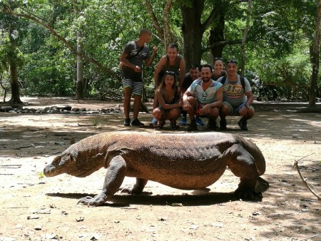 Patutkah Indonesia Membatalkan Penutupan Pulau Komodo?