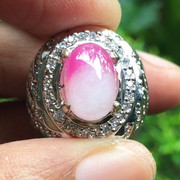 lelang singkat cuma 2 item premium