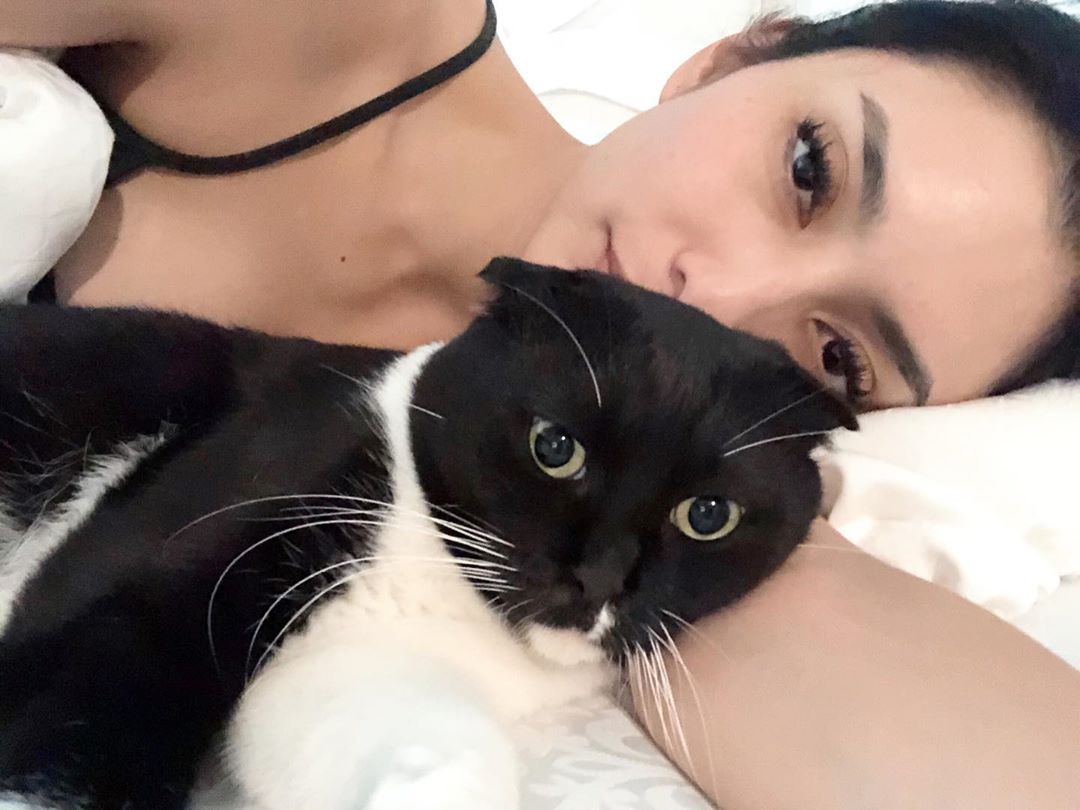 Ilmuwan Sebut Kucing Bisa Deteksi Dini Gempa