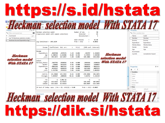 Heckman selection model With STATA 17