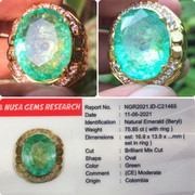 Lelang singkat 5 item berkilau
