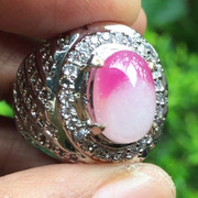 lelang singkat cuma 2 item premium