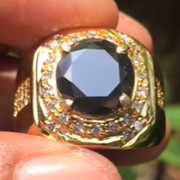 lelang singkat item elegance