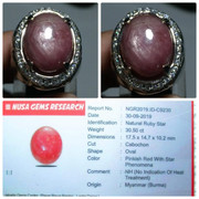 lelang super premium 4 item