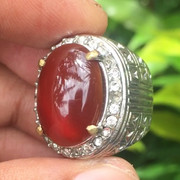 lelang singkat sampai malam