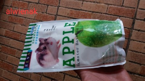 Cara Merawat Hamster Bagi Pemula Versi Ane