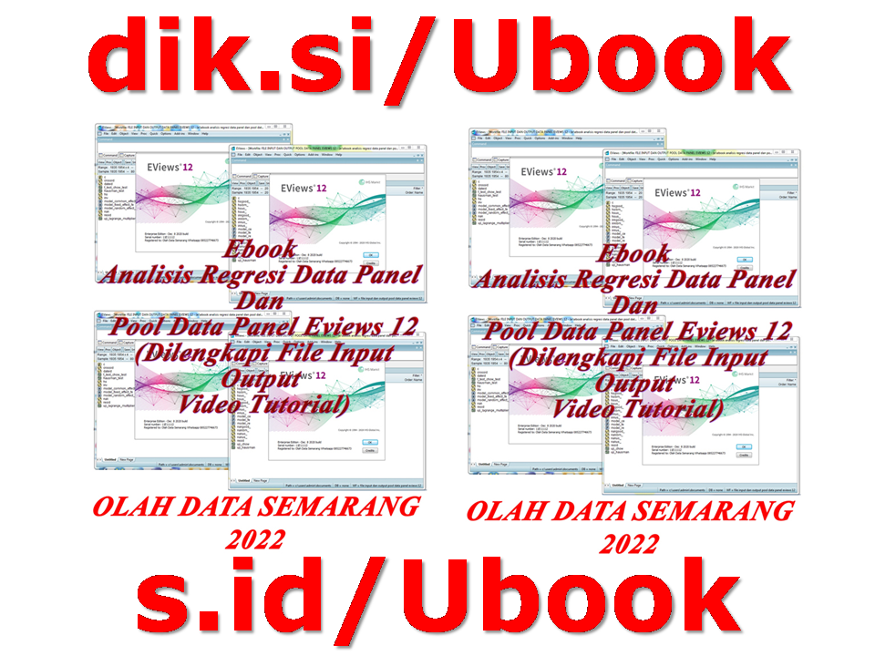 Ebook Analisis Regresi Data Panel Dan Pool Data Panel Eviews 12