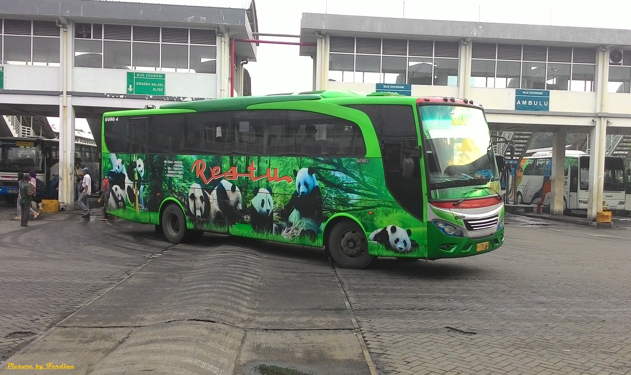 Inilah Bus-Bus &quot;Raja Jalanan&quot; Indonesia