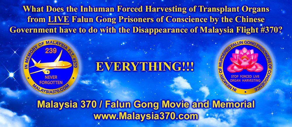 facts-you-never-knew-about-malaysia-flight-370