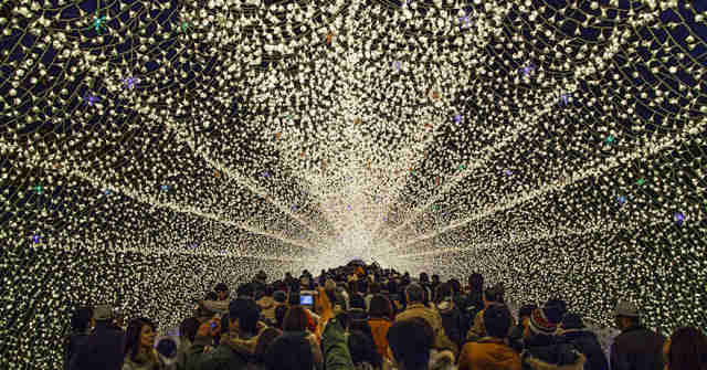 Indahnya Taman Cahaya di Jepang