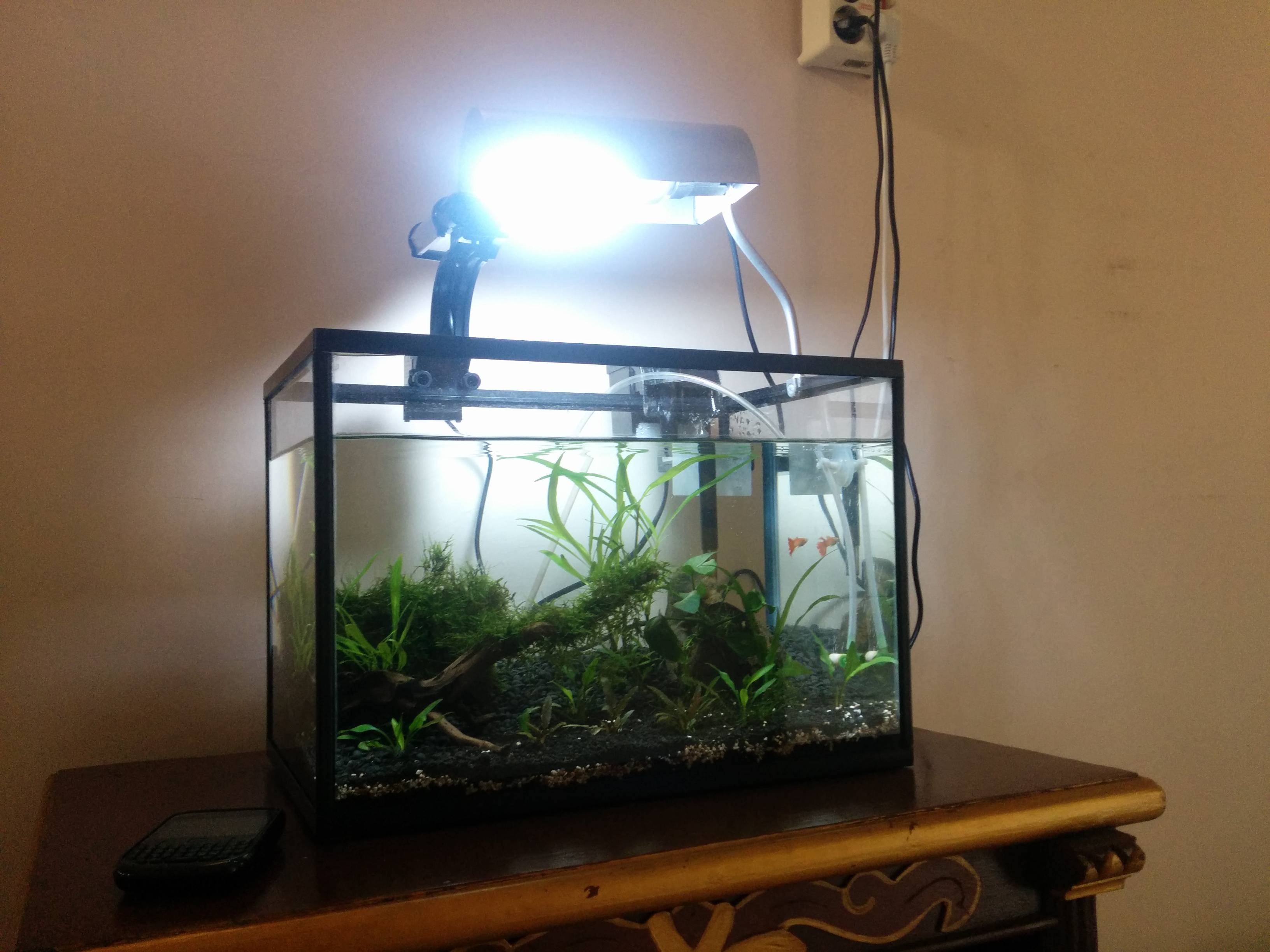 Cek harga aquascape... yg ngerti mohon pencerahan