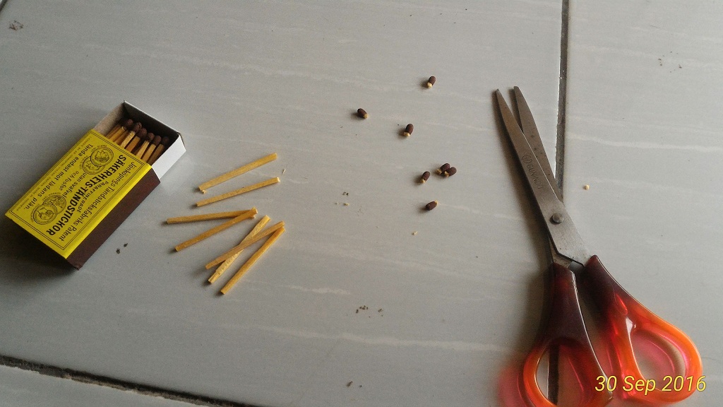 &#91;DIY Orion&#93; Membuat Roket Api sederhana