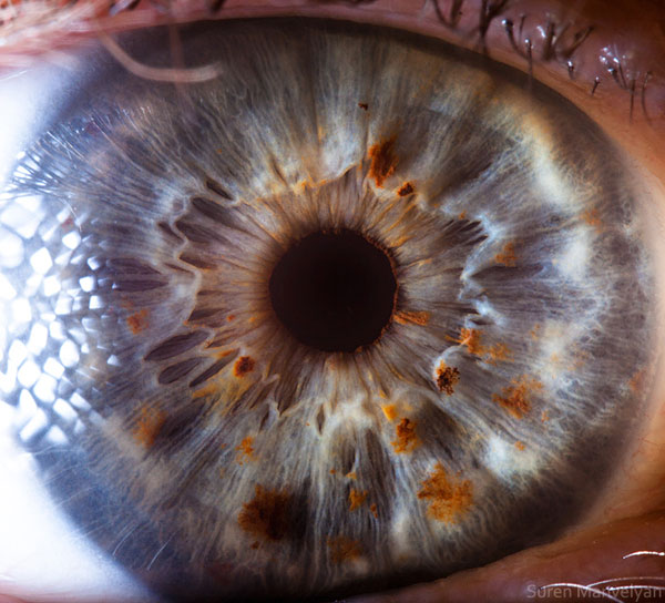 Extreme , Foto Foto Pupil Mata Jika Di Close Up !!!