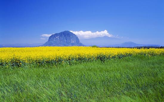 10 Tempat Wisata di Korea Selatan yang Terkenal