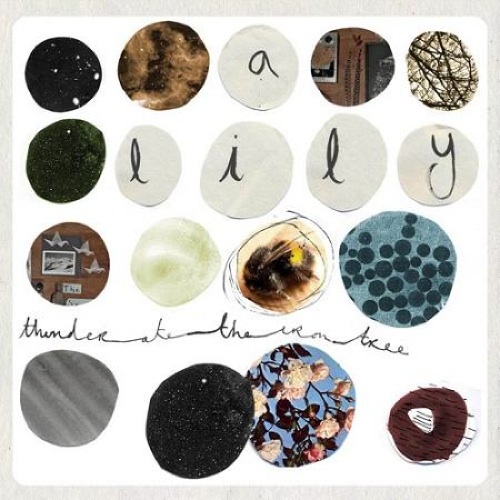 post-rock--experimental-music---brotherhood-of-the-traveling-treasure