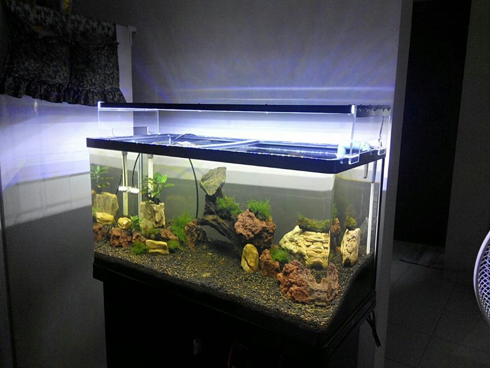 Terjual Lampu Custom Led Aquascape Kaskus