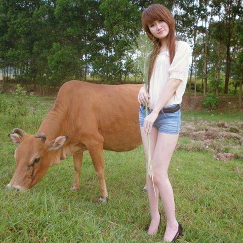 &#91;Pustun News&#93; Daging Sapi Merangkak Naik?Siapa Yg Untung?Akankah bisa turun?